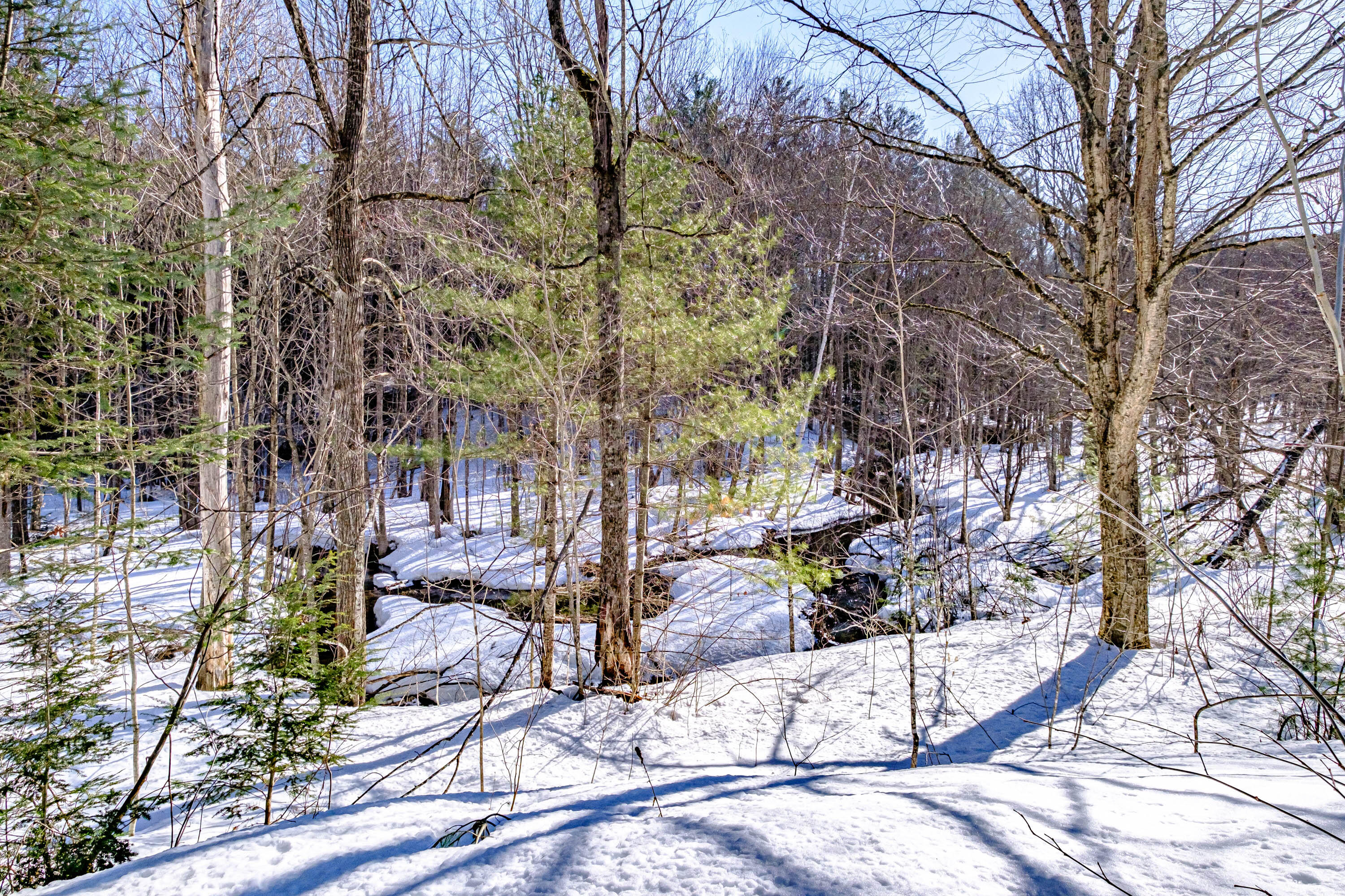 182 5 Kezars Road Waterford, ME 04088 - Photo 7 of 52 20230327gp-60011