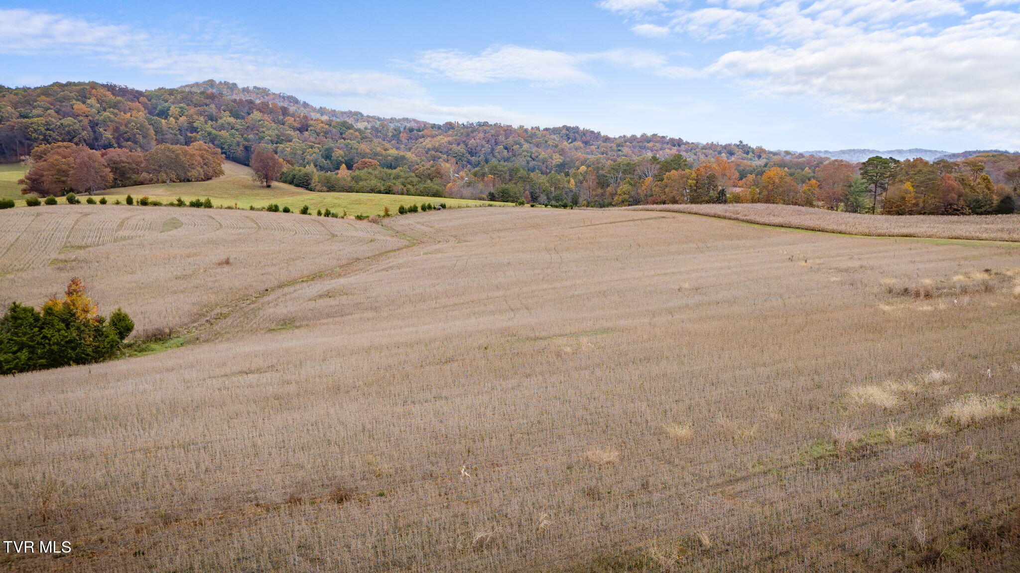 6795 Gap Creek Road Bulls Gap, TN 37711 - Photo 4 of 11 110 (1)