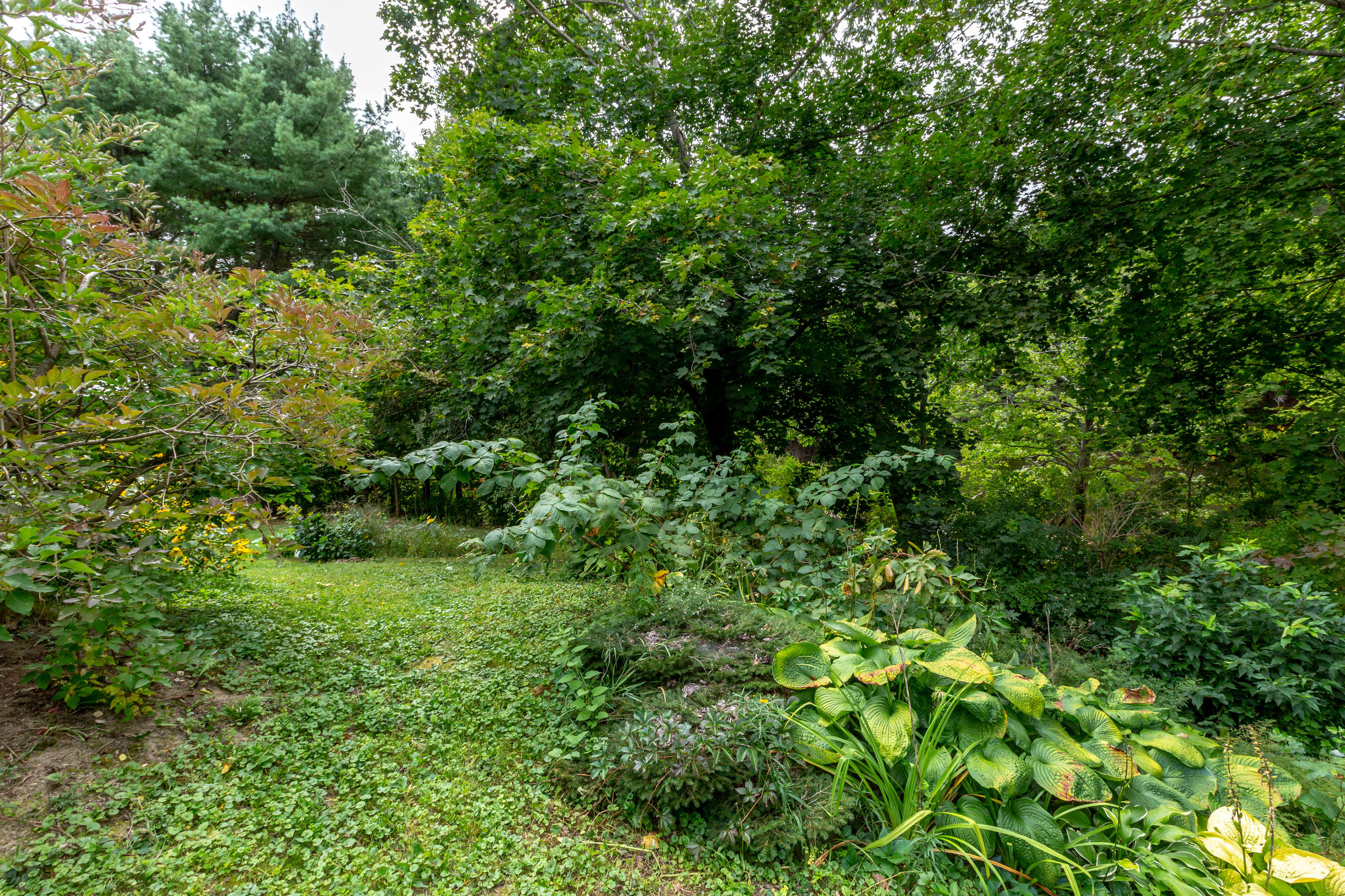 1 Shenandoah Road Bath, ME 04530 - Photo 29 of 39 Shenandoah_Schroeder_53