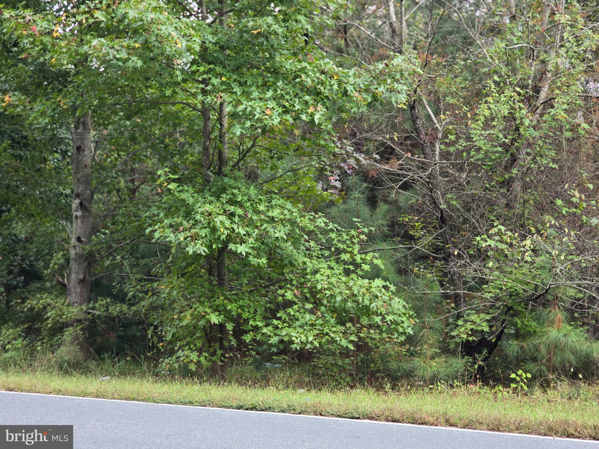 0 Levin Dashiell Road Hebron, MD 21830 - Photo 2 of 4 Street View