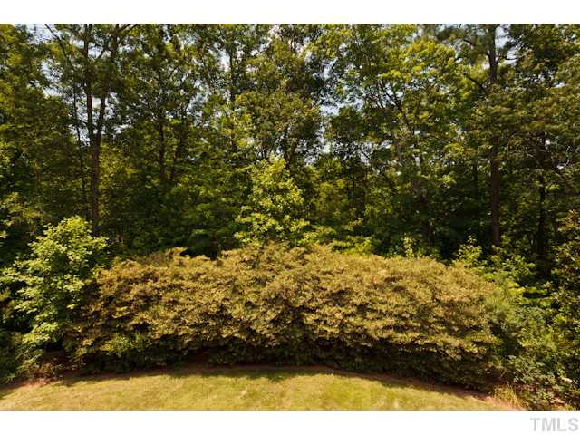 7716 Senter Farm Road Apex, NC 27539 - Photo 11 of 25 Look at the view! Enjoy the advantages of living in a neighborhood, along with the benefits of owning land. You'll always have tons of privacy.