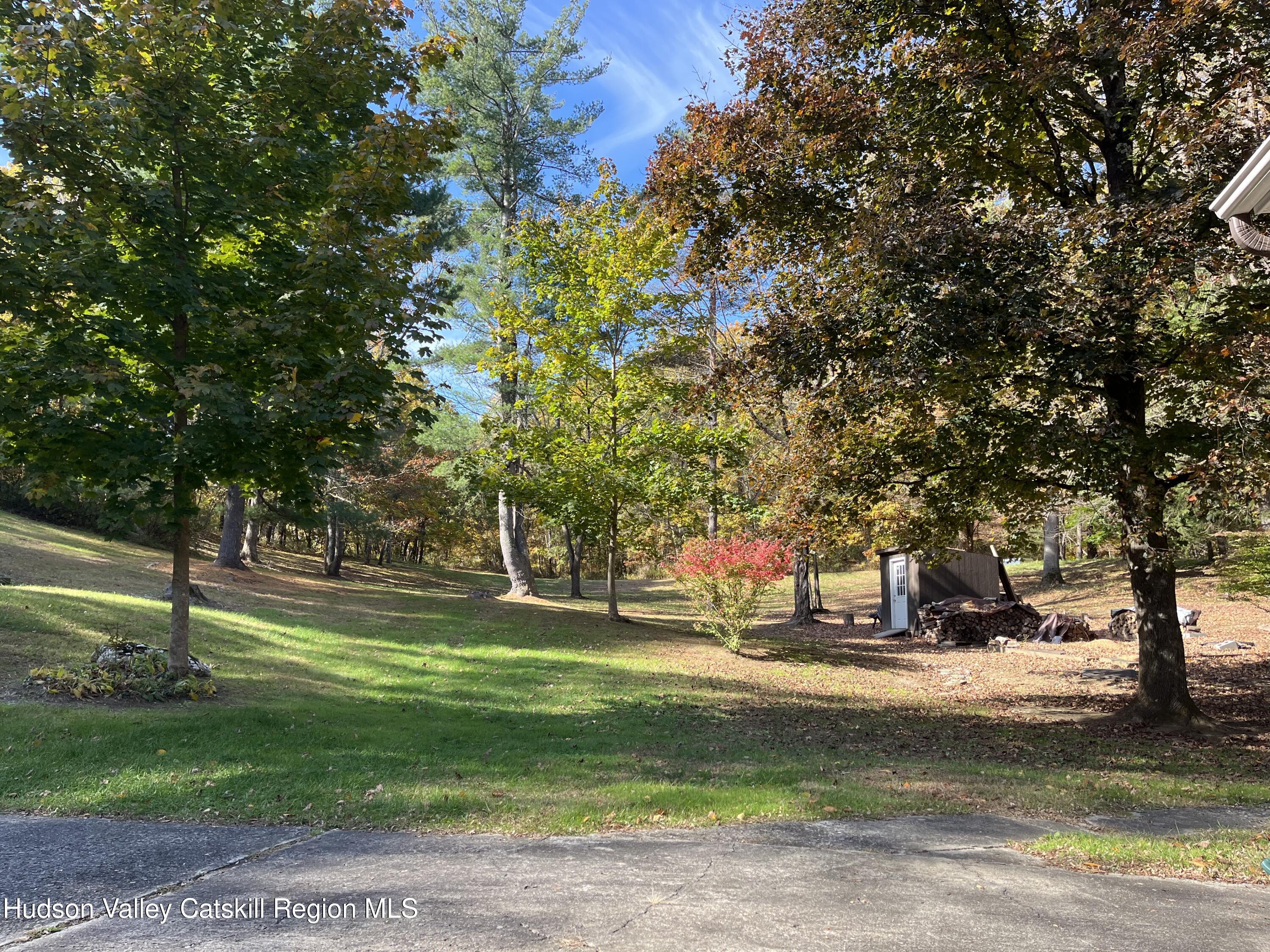 59 New Forge Rd I Ancram, NY 12502 - Photo 13 of 32 a view of a park with large trees