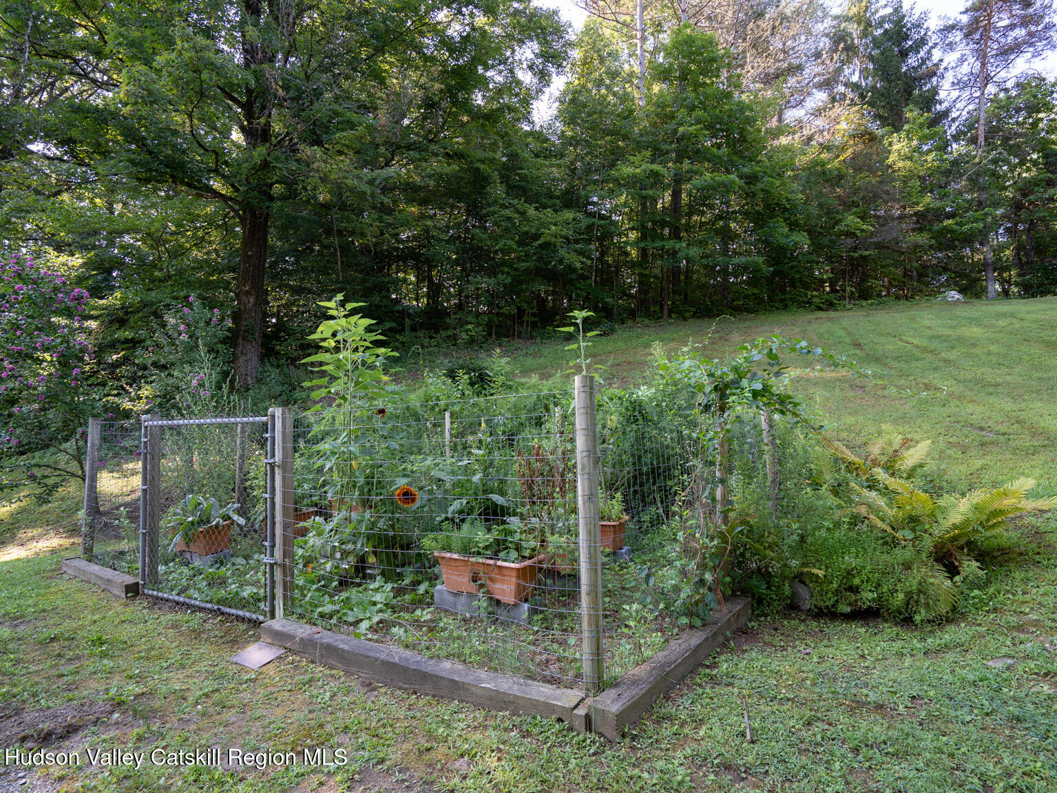 59 New Forge Rd I Ancram, NY 12502 - Photo 15 of 32 a view of a backyard