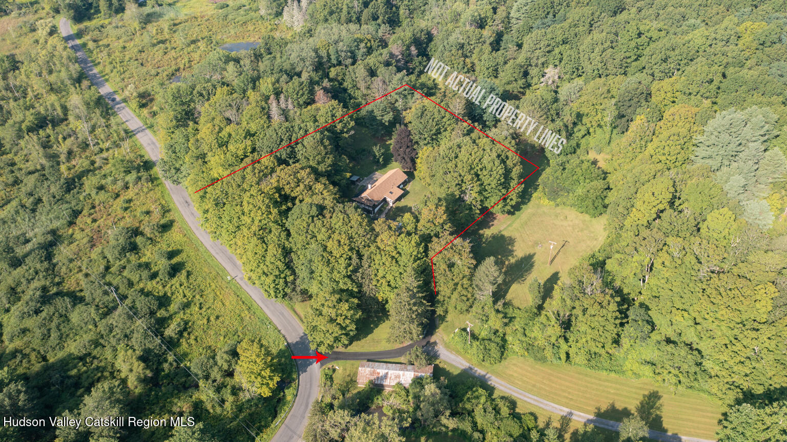 59 New Forge Rd I Ancram, NY 12502 - Photo 17 of 32 a view of a forest with a tree