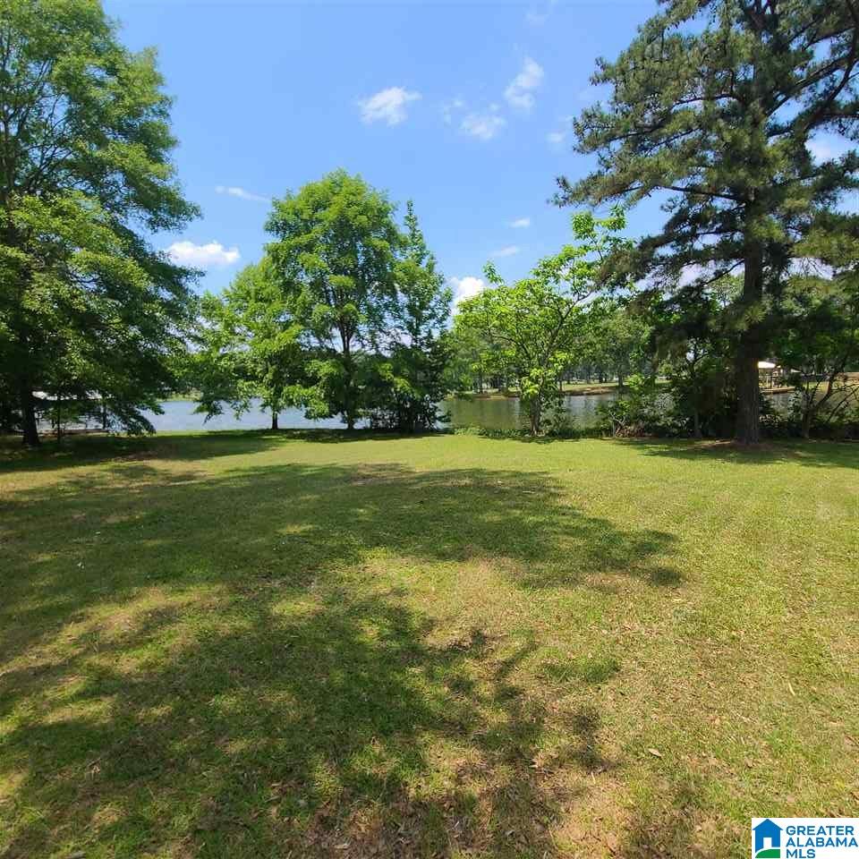 740 Big Rock Road Pell City, AL 35128 - Photo 18 of 24