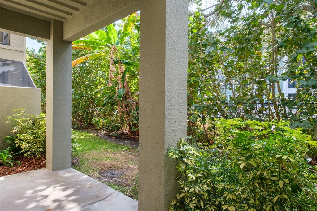 10220 Bayou Grande Seminole, FL 33772 - Photo 45 of 50 a view of a yard with plants and a bench in front of a window