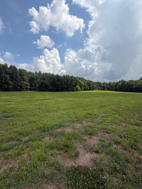 0 Friendship Road Cross Plains, TN 37049 - Photo 7 of 8