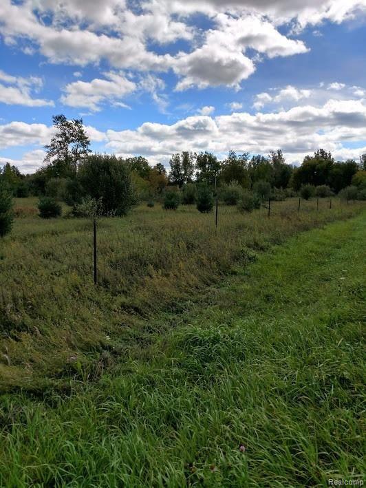 Parcel H Boucher Road Otter Lake, MI 48464 - Photo 4 of 5 Gallery Image 4