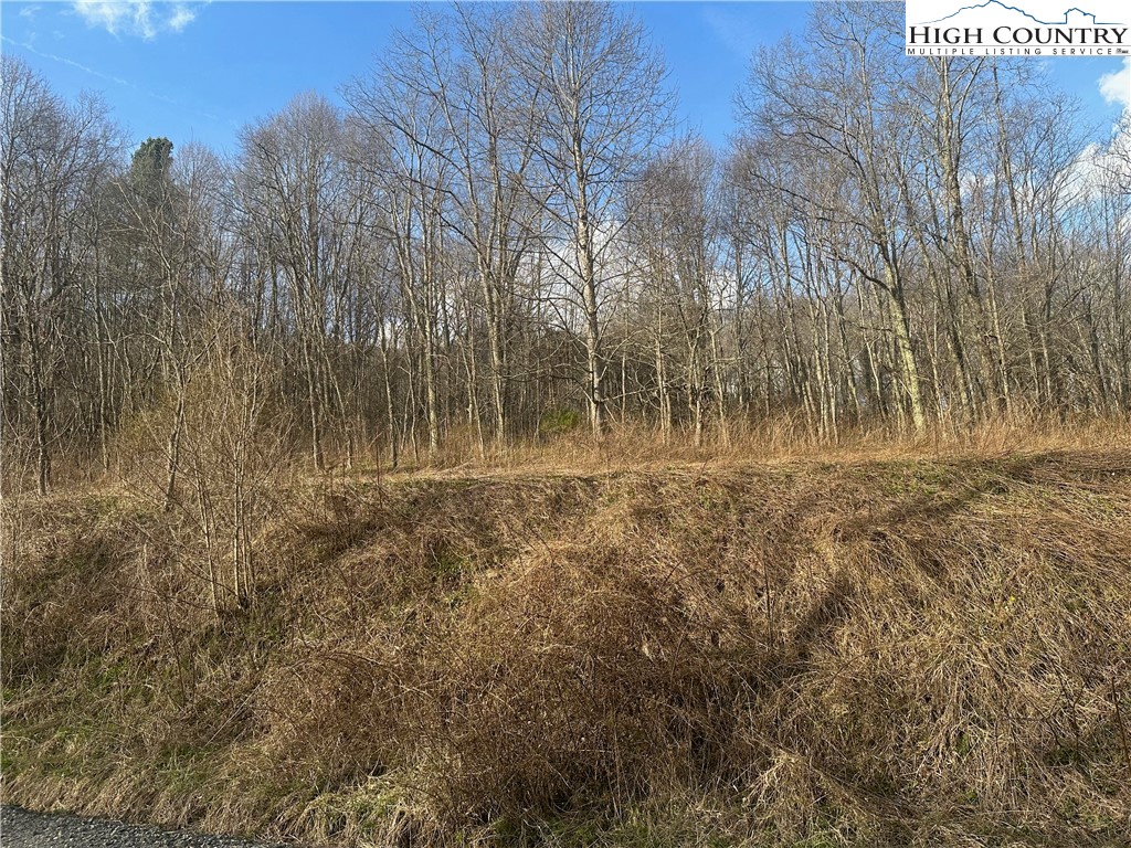 1476 John Alley Road Lansing, NC 28643 - Photo 9 of 50 Gallery Image 9
