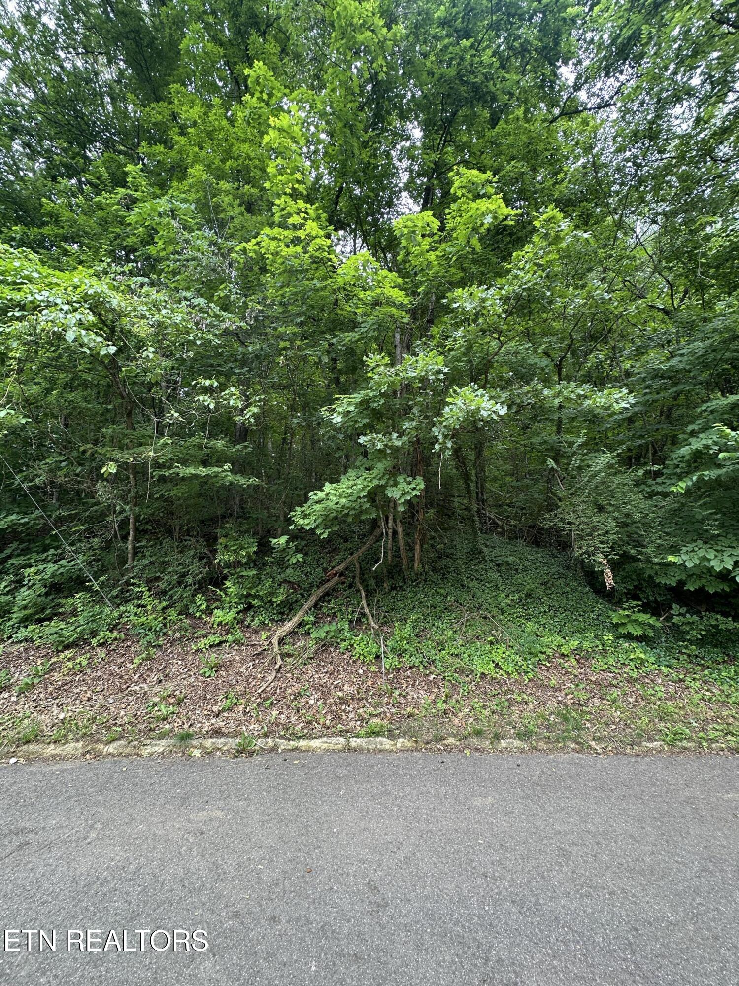 6834 Reddege Road Knoxville, TN 37918 - Photo 2 of 2 IMG_6549