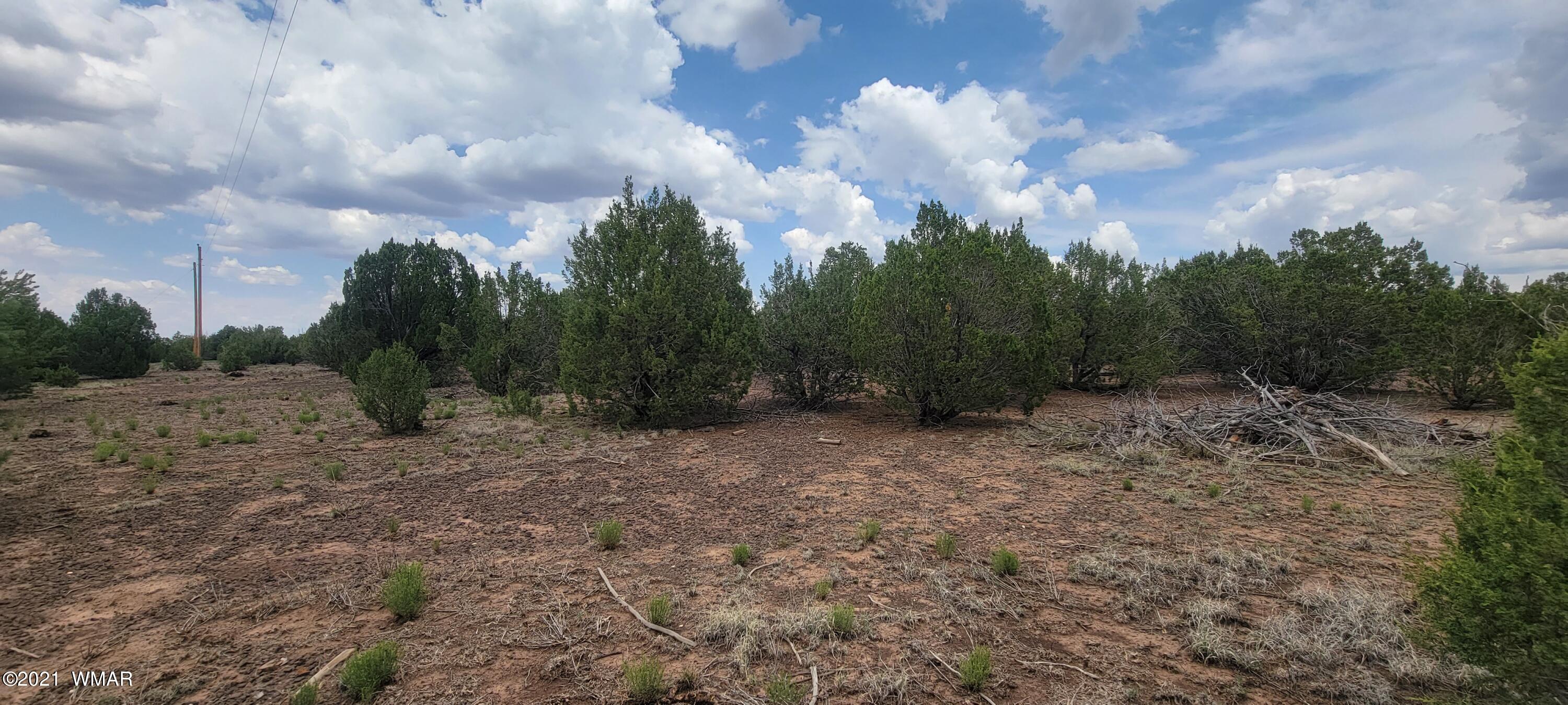 24 County Road Concho, AZ 85924 - Photo 11 of 18