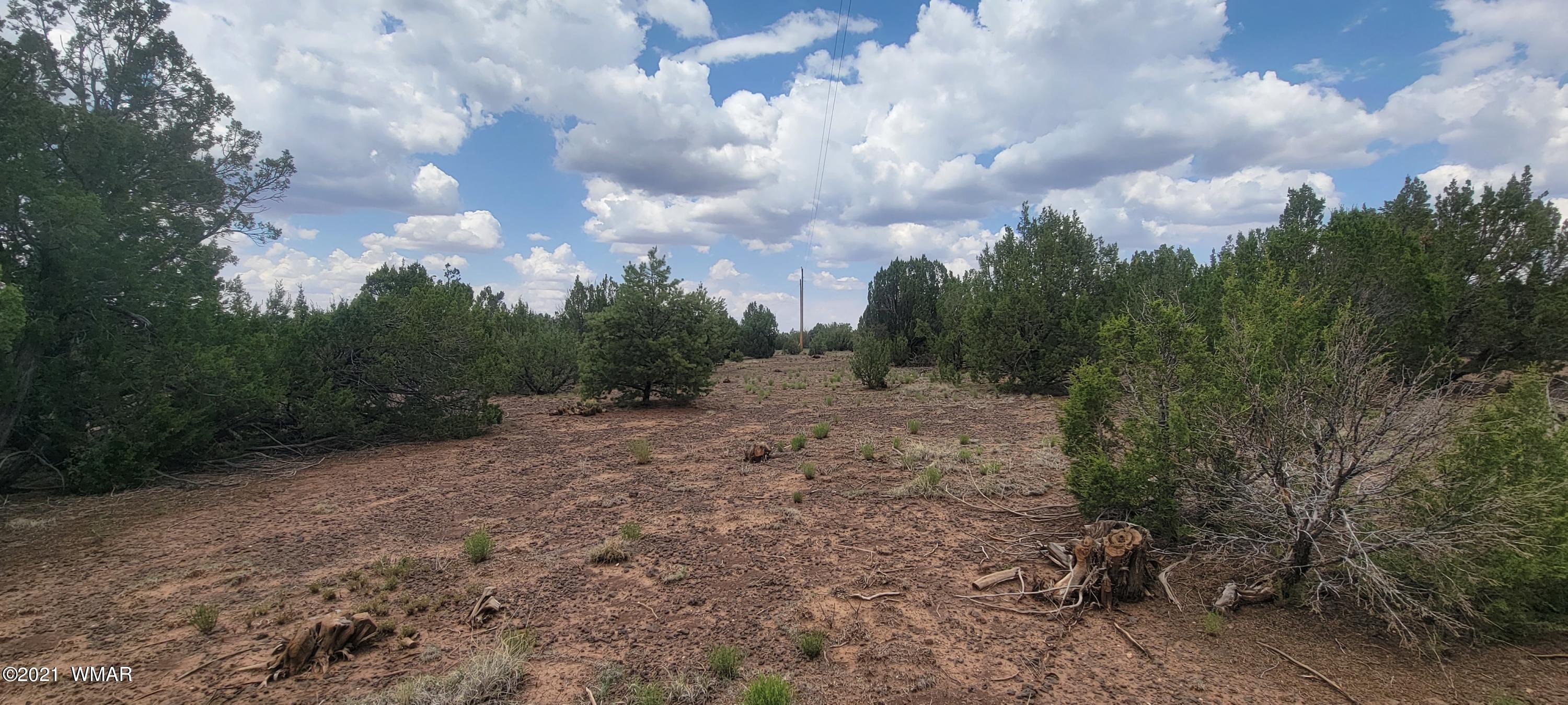 24 County Road Concho, AZ 85924 - Photo 12 of 18
