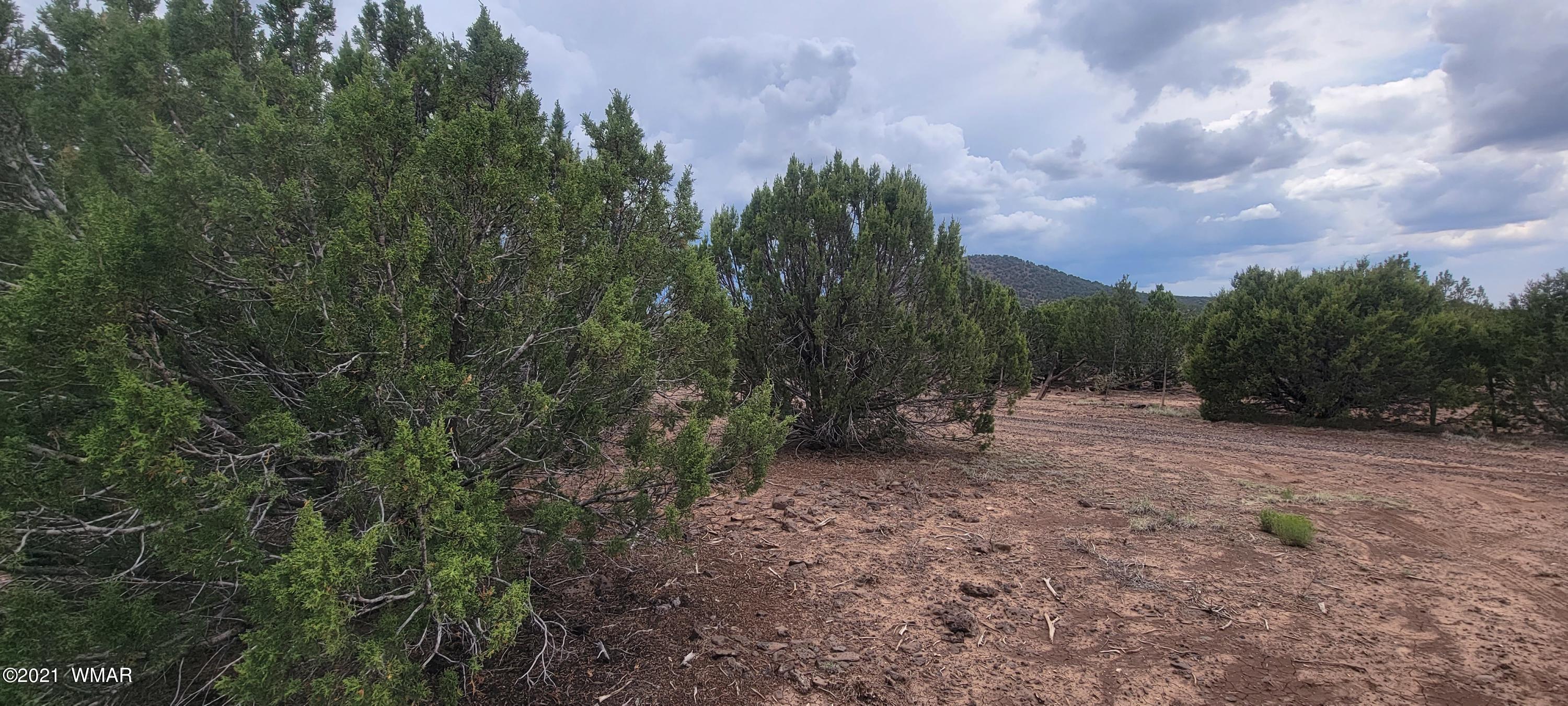 24 County Road Concho, AZ 85924 - Photo 13 of 18