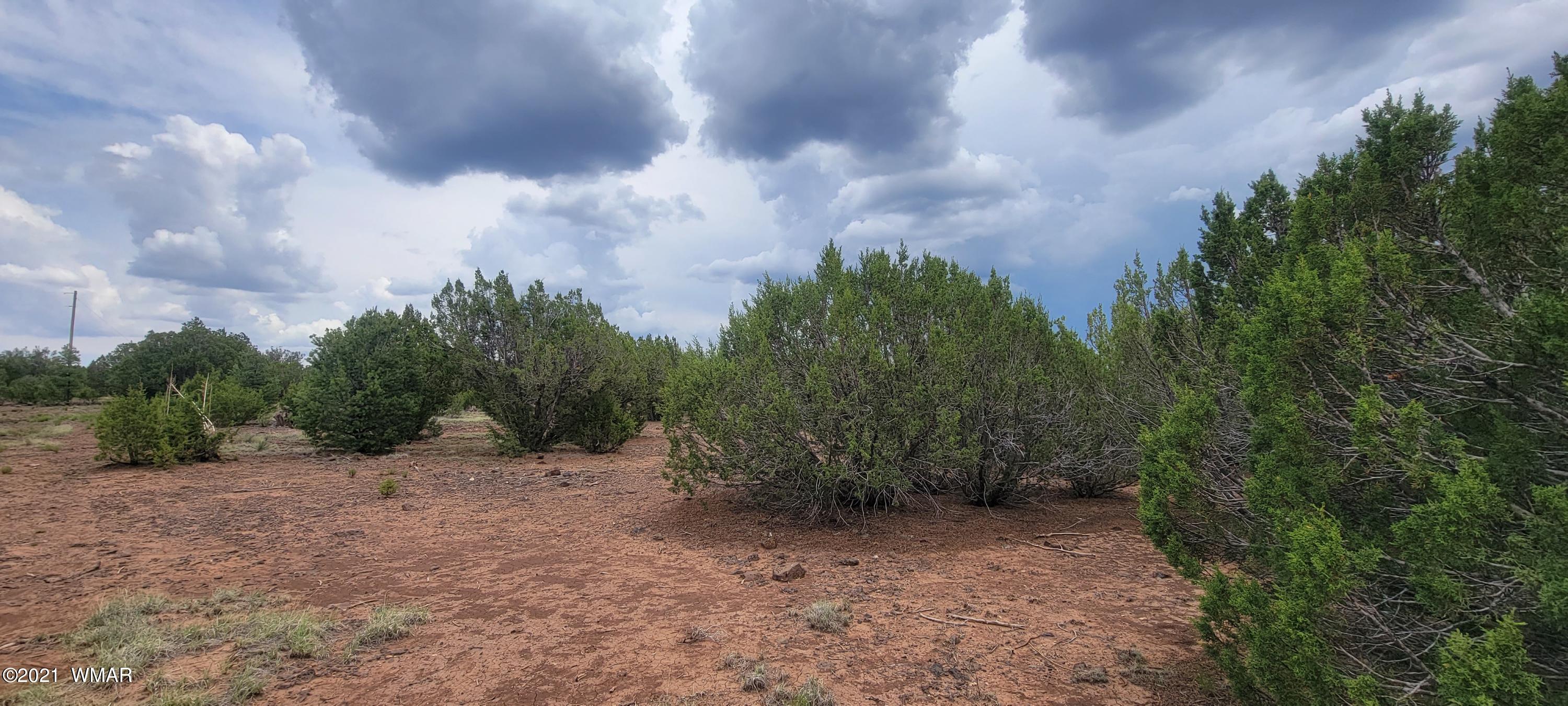 24 County Road Concho, AZ 85924 - Photo 14 of 18