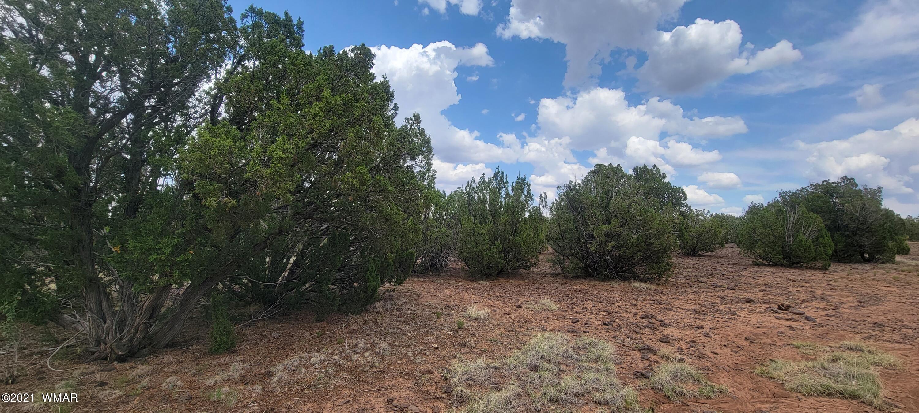 24 County Road Concho, AZ 85924 - Photo 15 of 18