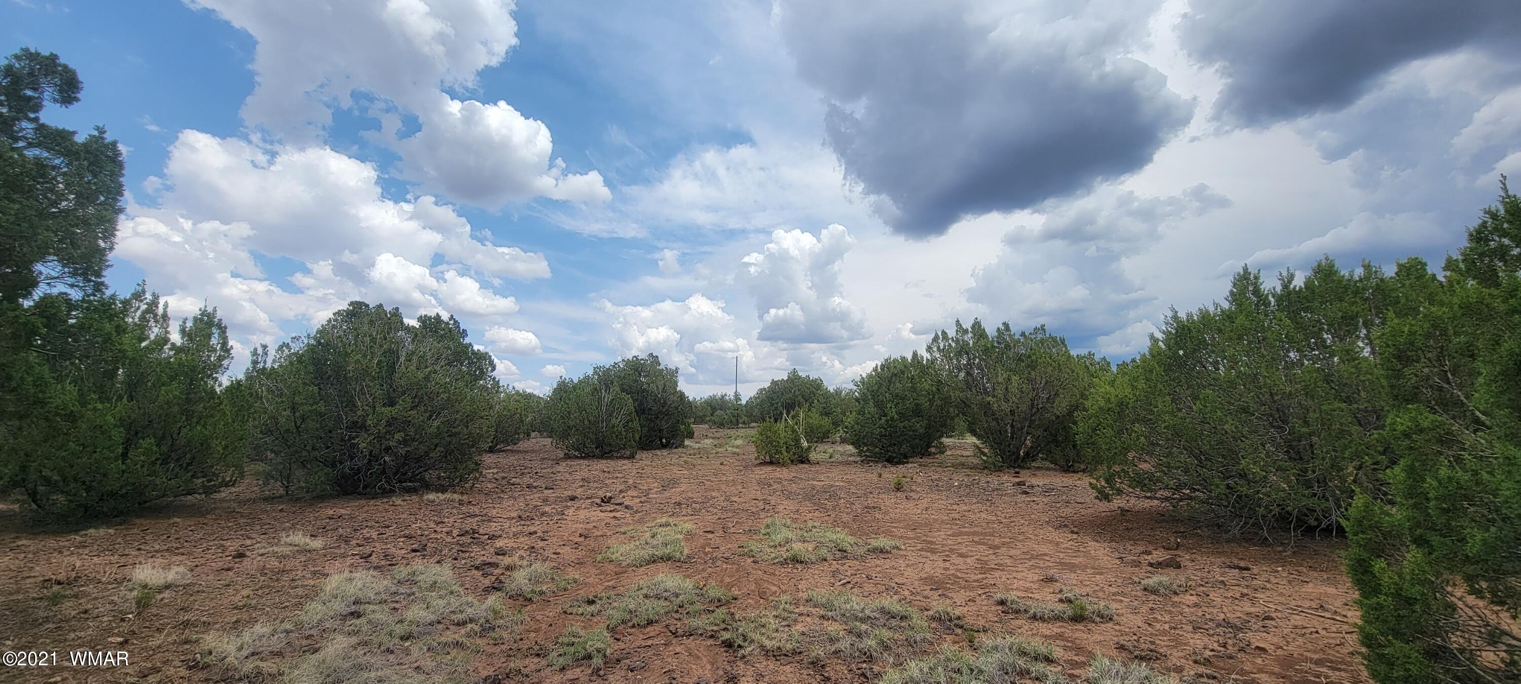 24 County Road Concho, AZ 85924 - Photo 16 of 18