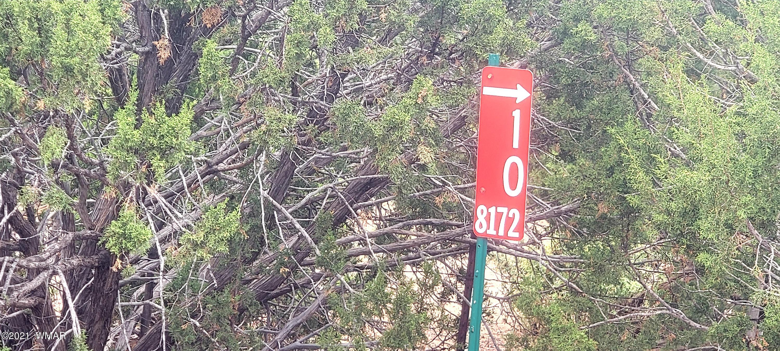 24 County Road Concho, AZ 85924 - Photo 18 of 18