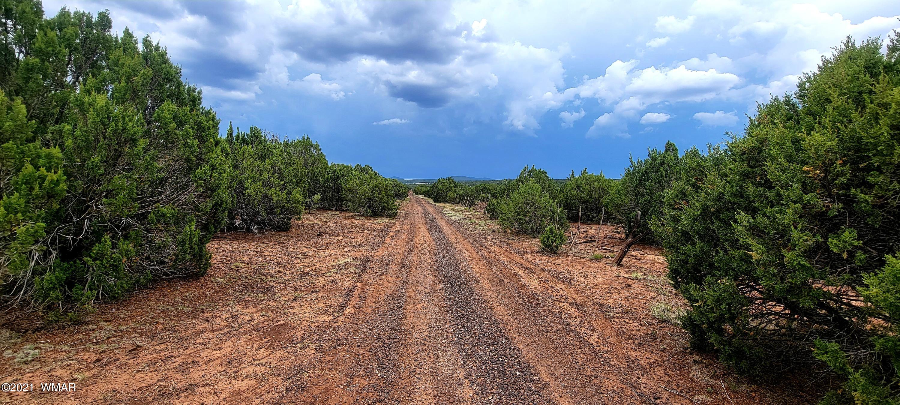 24 County Road Concho, AZ 85924 - Photo 2 of 18