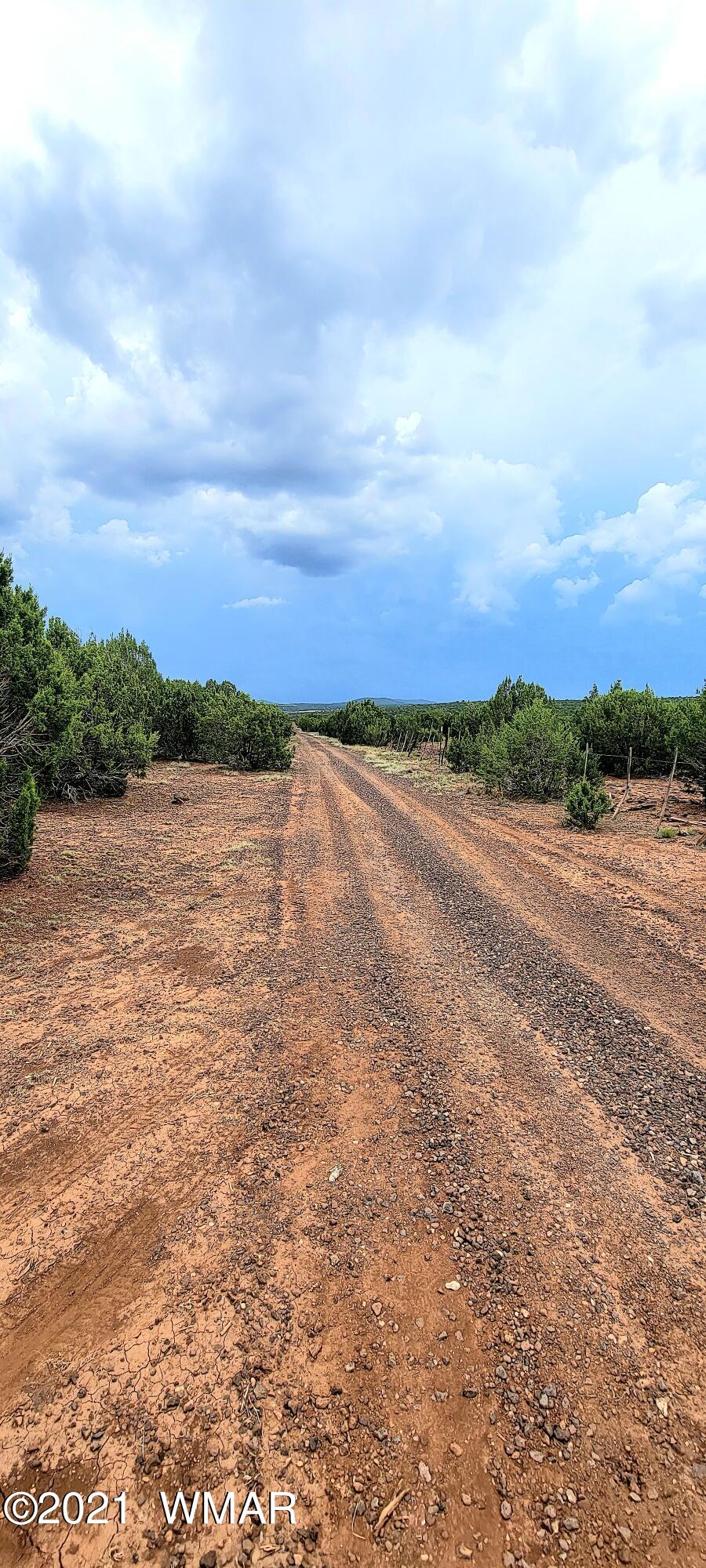 24 County Road Concho, AZ 85924 - Photo 3 of 18
