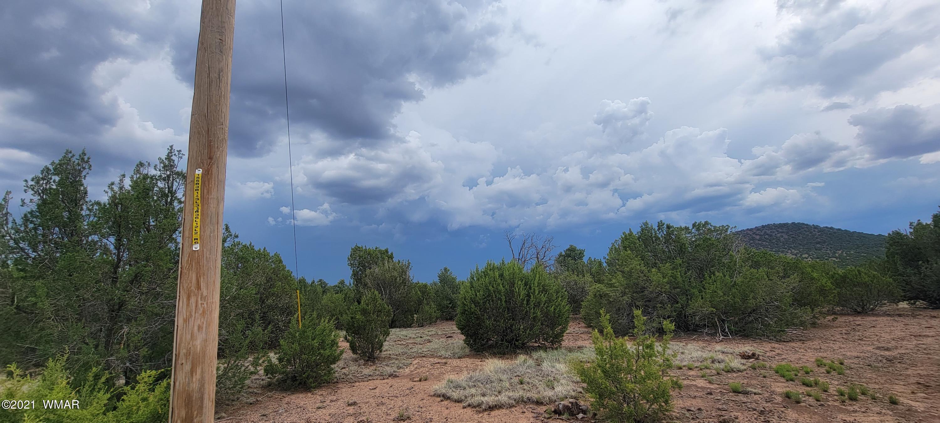 24 County Road Concho, AZ 85924 - Photo 5 of 18