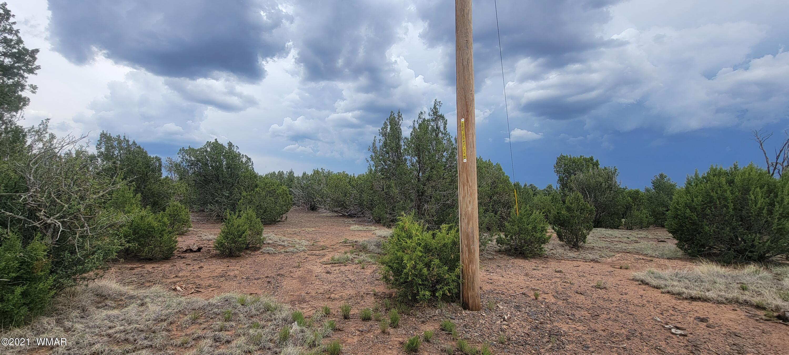 24 County Road Concho, AZ 85924 - Photo 6 of 18