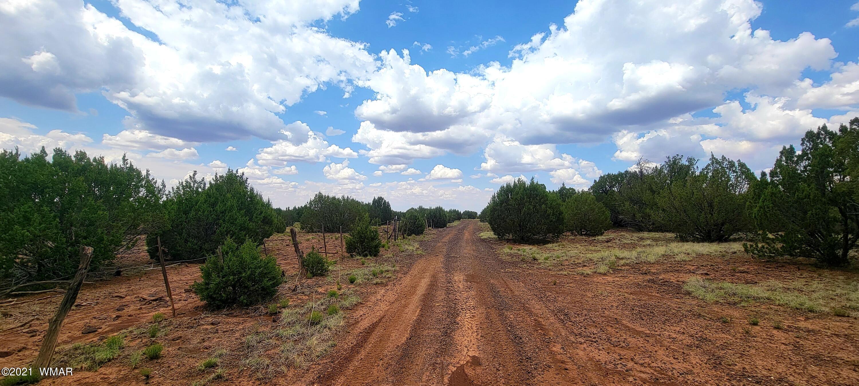 24 County Road Concho, AZ 85924 - Photo 7 of 18