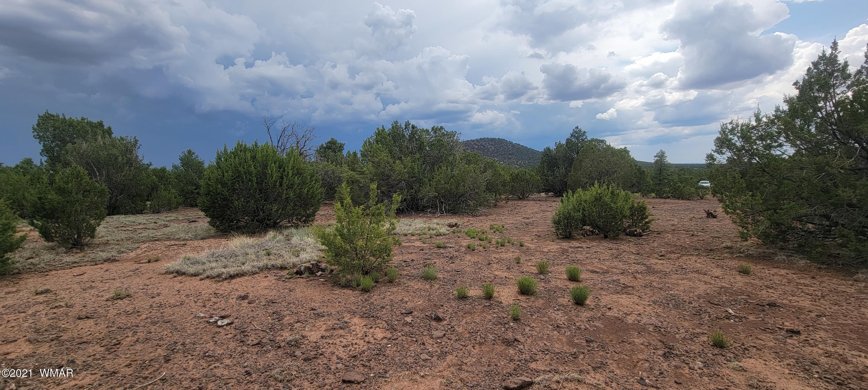 24 County Road Concho, AZ 85924 - Photo 8 of 18