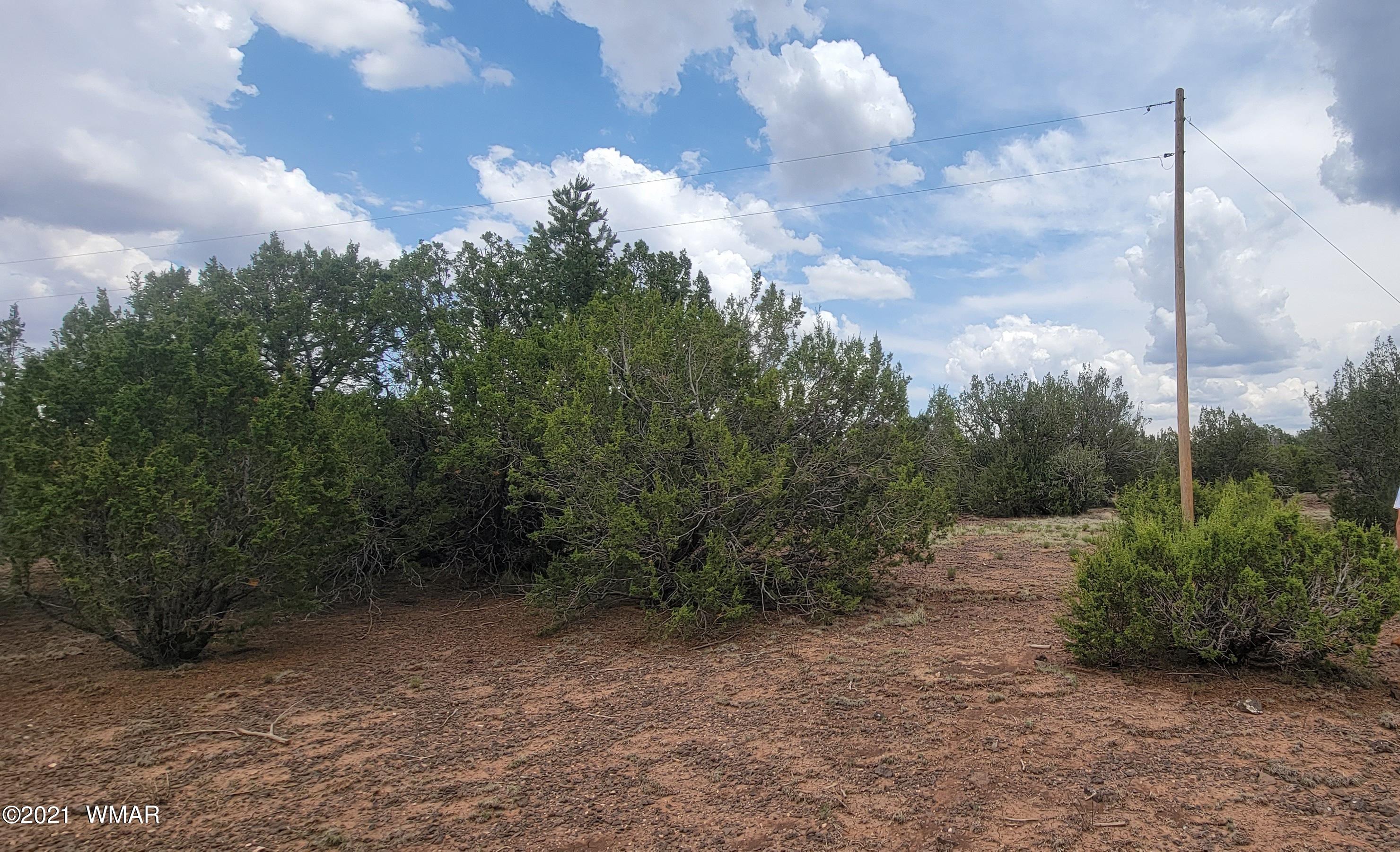 24 County Road Concho, AZ 85924 - Photo 9 of 18