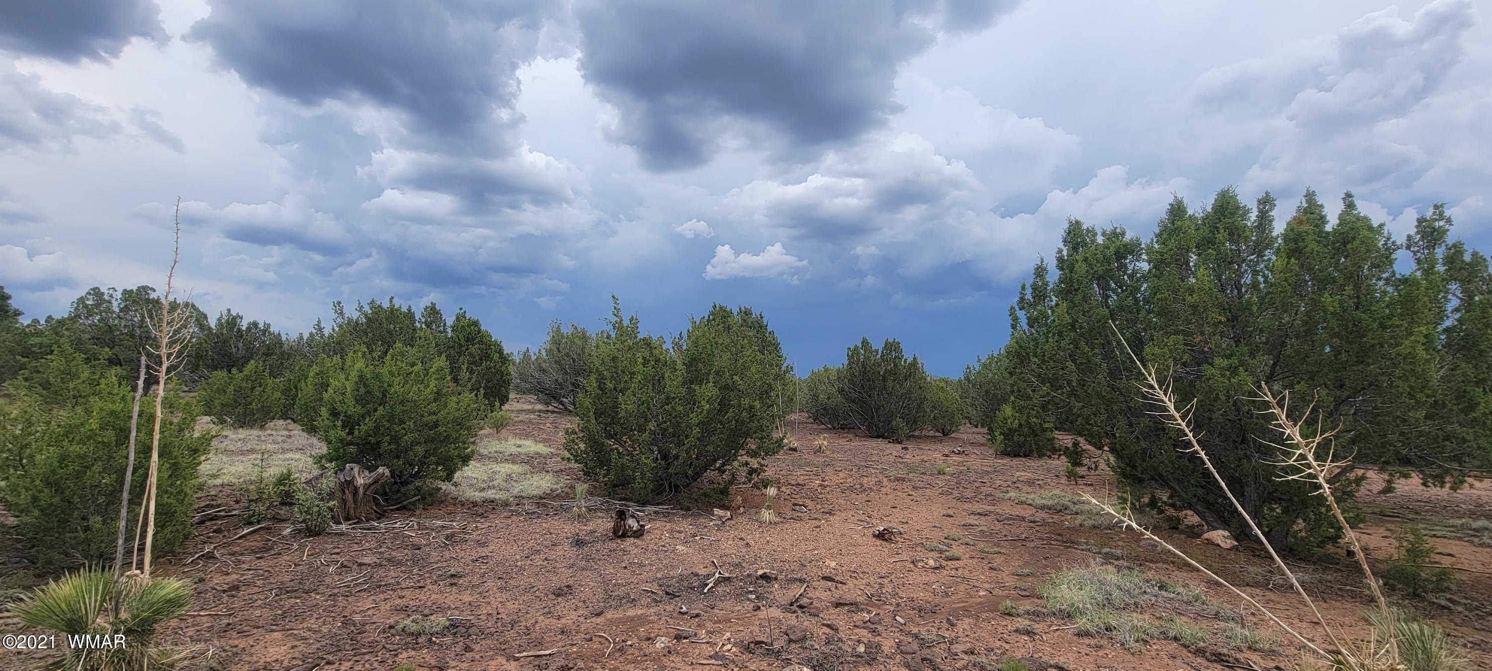 24 County Road Concho, AZ 85924 - Photo 10 of 18