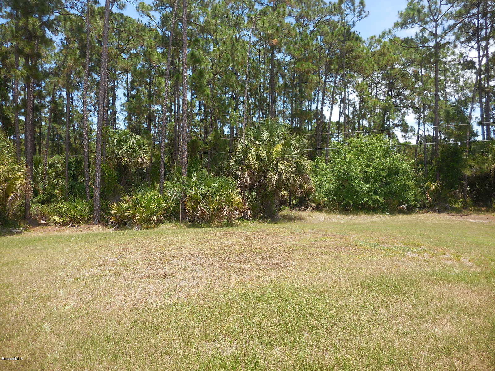 455 Wayland Road Southwest Palm Bay, FL 32908 - Photo 15 of 16 back yard