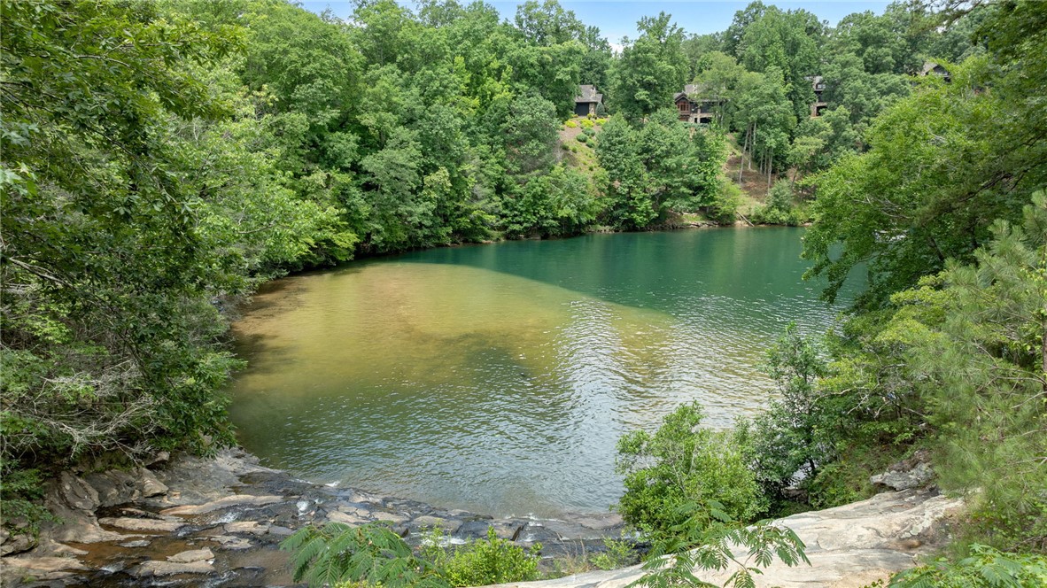 913 Rippling Water Way Salem, SC 29676 - Photo 6 of 15