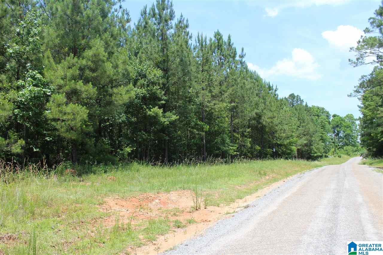 1652 County Road 101 Kellyton, AL 35089 - Photo 24 of 28