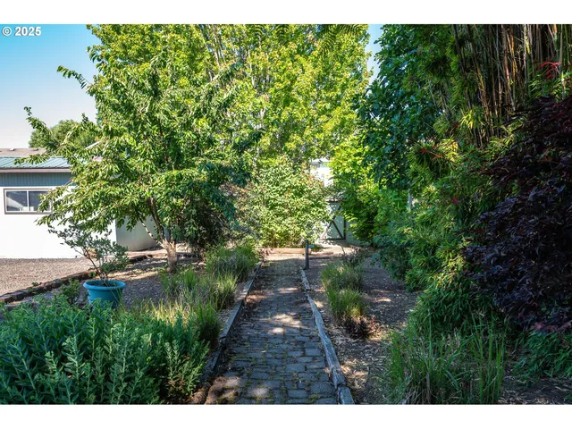 a backyard of a house with yard and garage