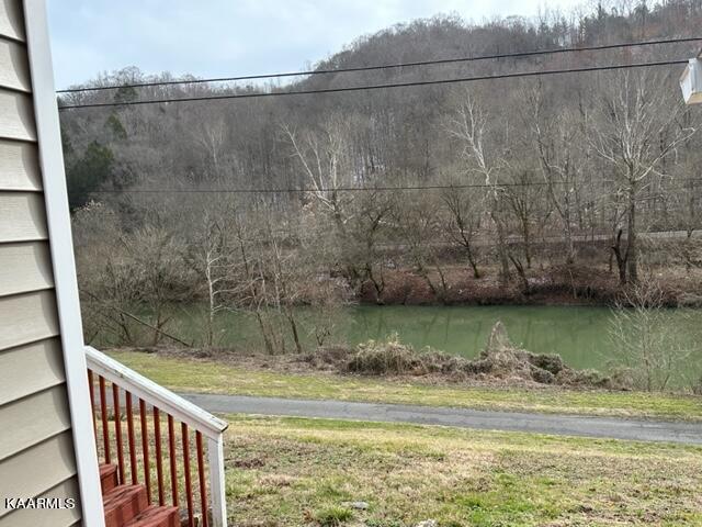 331 River Road Miracle, KY 40845 - Photo 10 of 27 IMG_3935