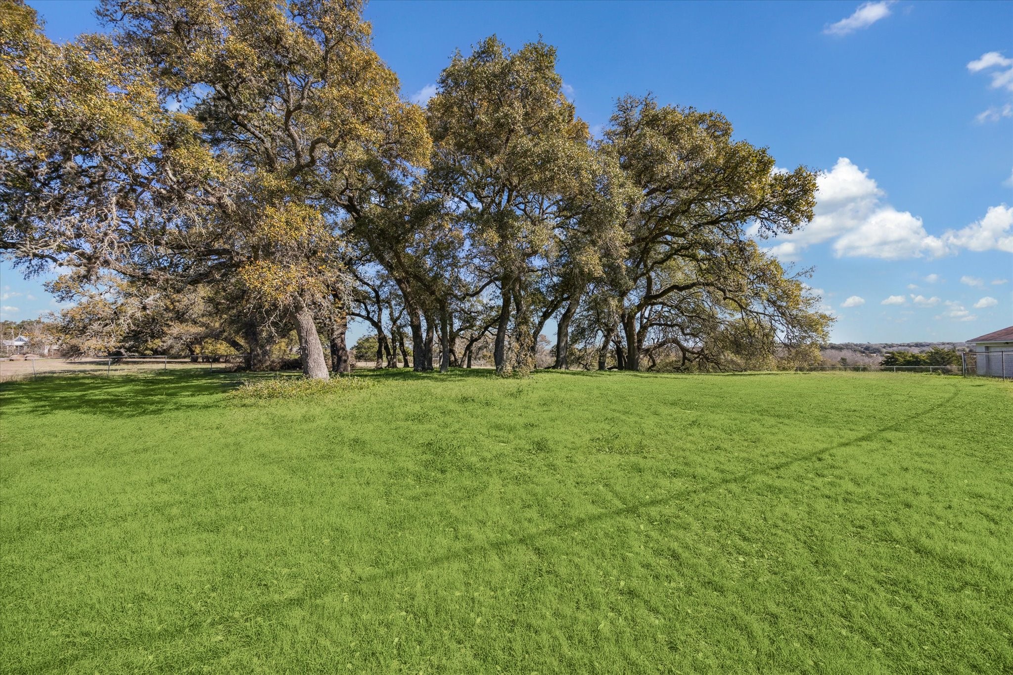 1118 Fm 1697 Burton, TX 77835 - Photo 19 of 31 a view of green field