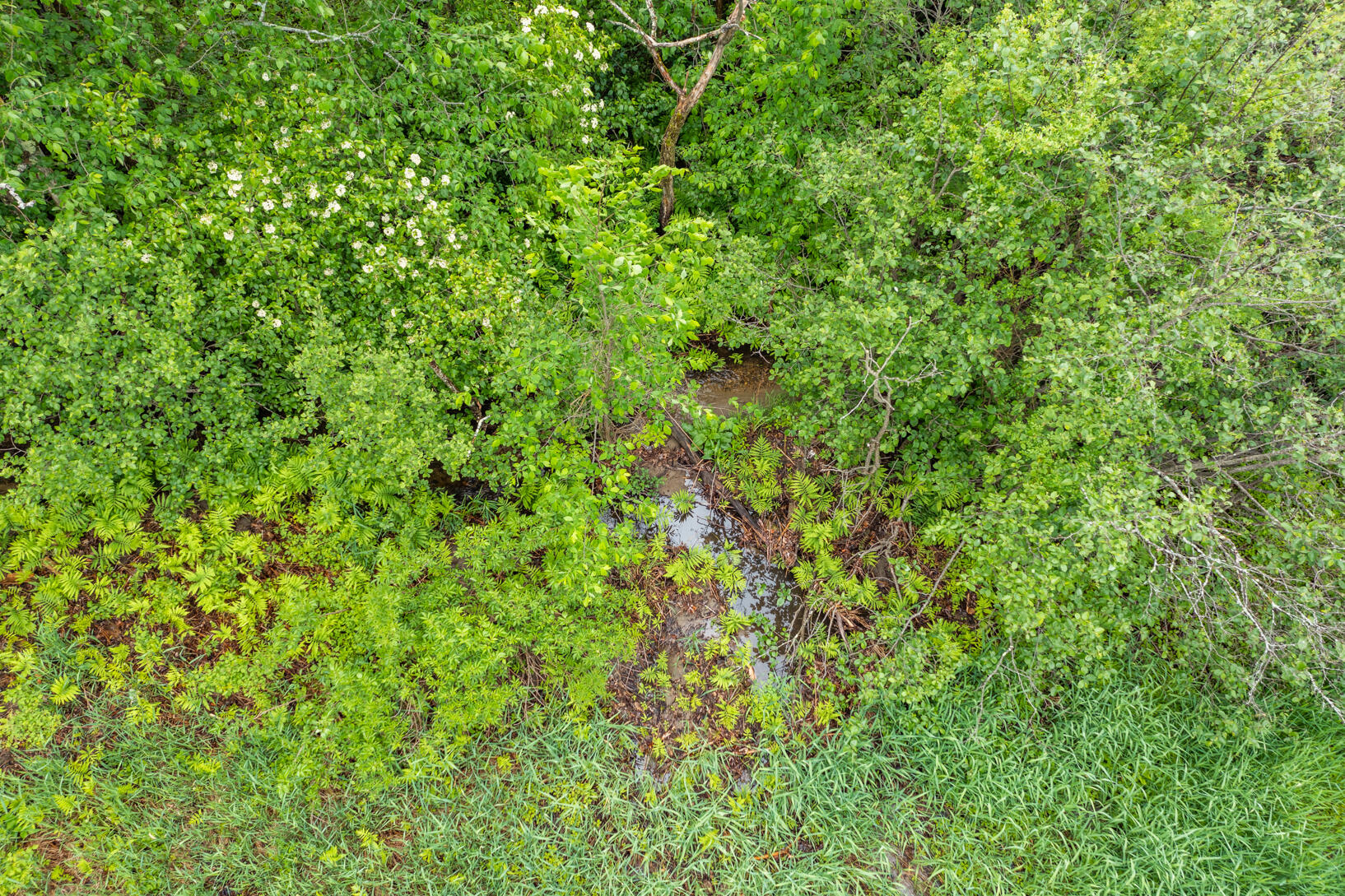 371 West Minot Road Minot, ME 04258 - Photo 30 of 34 DJI_0902-HDR