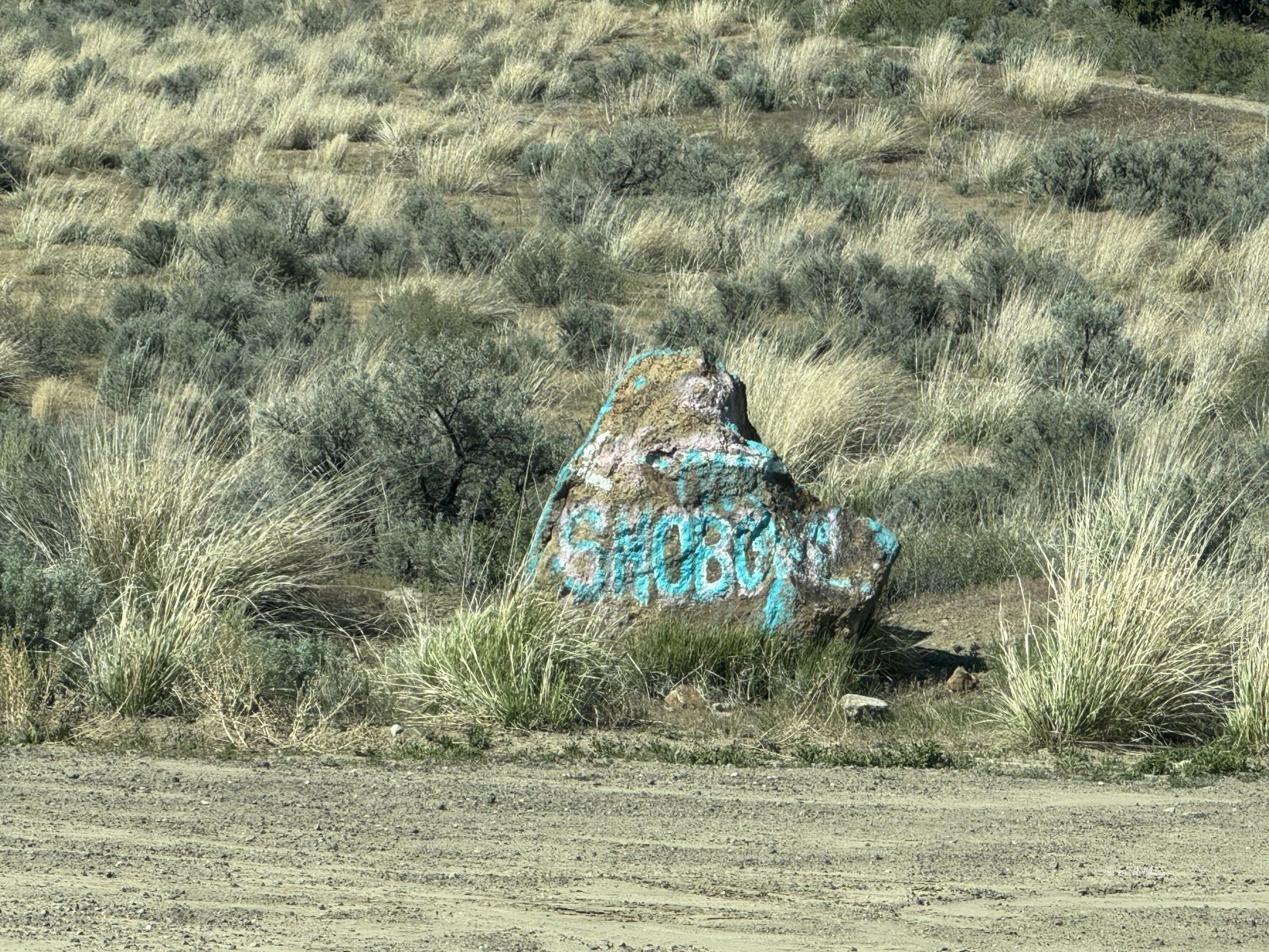 Snobowl Road Elko, NV 89801 - Photo 5 of 20