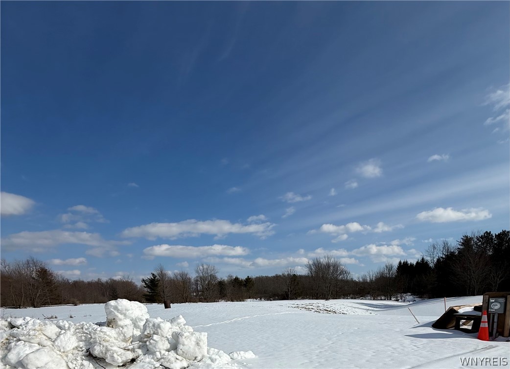 8191 Cole Road Boston, NY 14033 - Photo 8 of 10