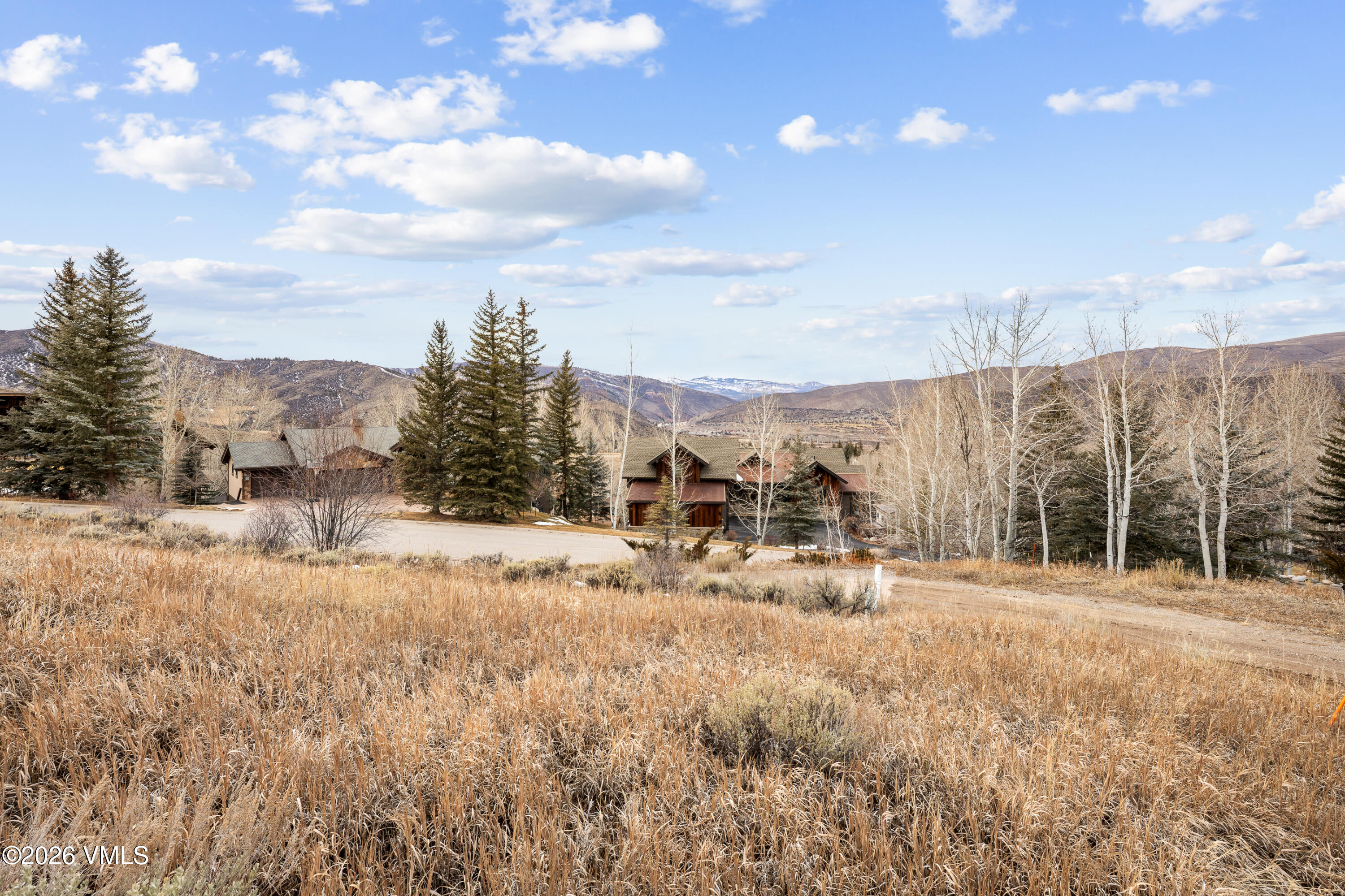 80 Russell Trail Edwards, CO 81632 - Photo 5 of 7 718A7730