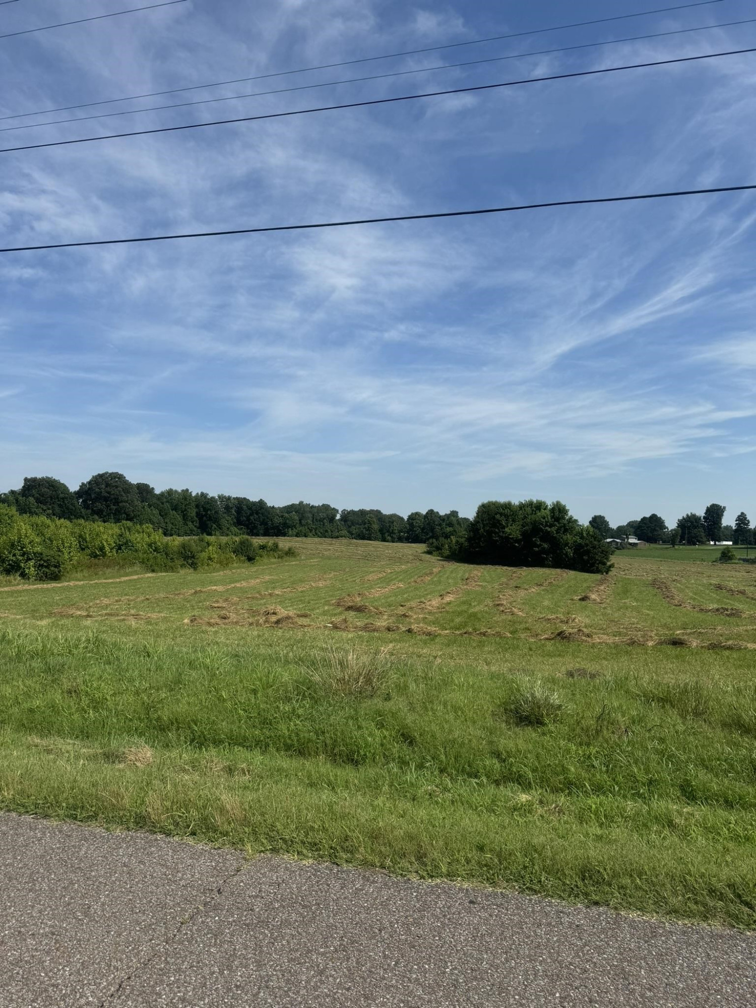 0 Ashley Road Dyersburg, TN 38024 - Photo 3 of 4 Photo 3