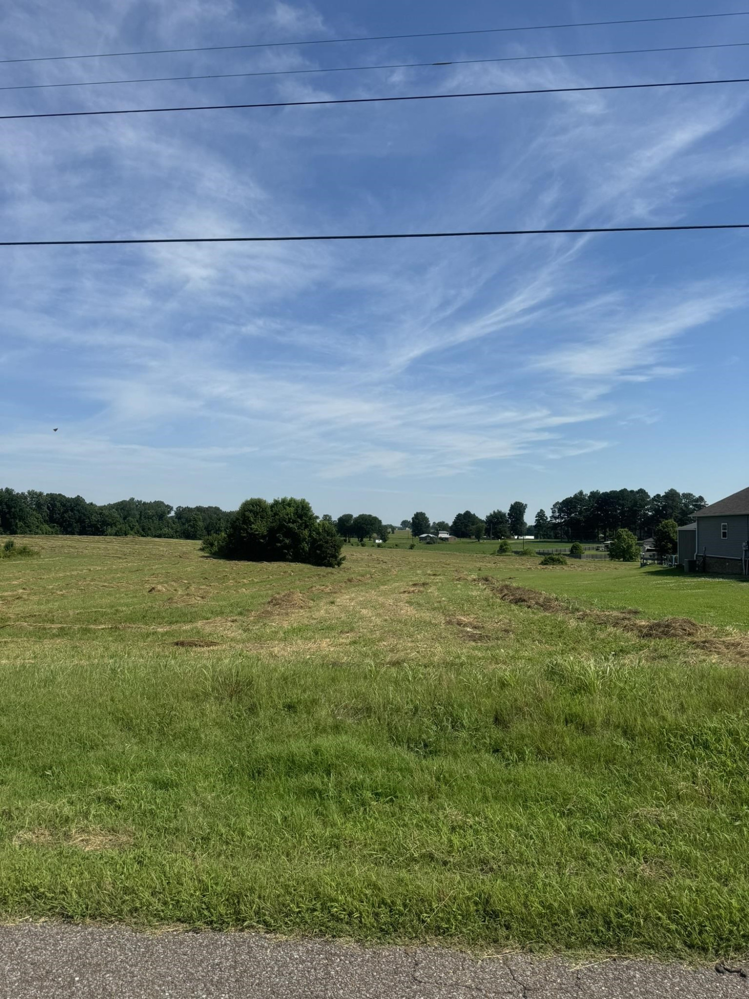 0 Ashley Road Dyersburg, TN 38024 - Photo 4 of 4 Photo 4