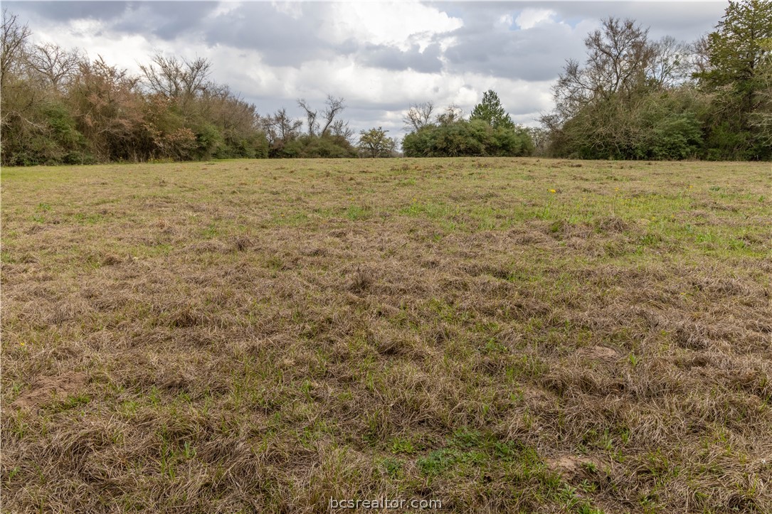 10102 Ferrill Creek Road Bryan, TX 77808 - Photo 14 of 33