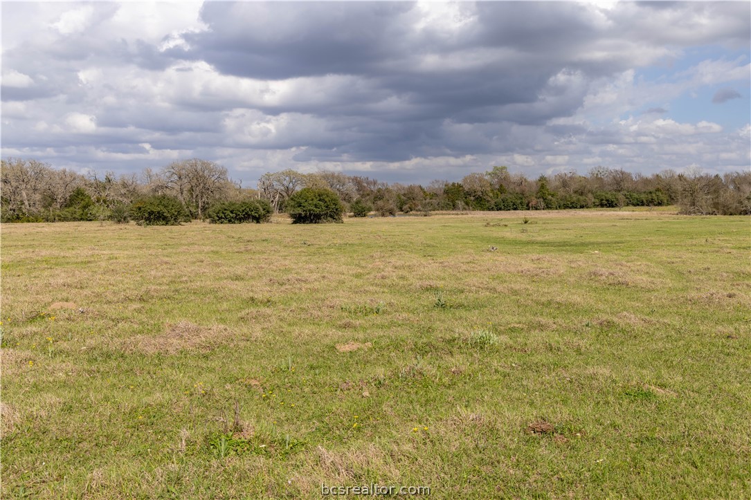 10102 Ferrill Creek Road Bryan, TX 77808 - Photo 16 of 33