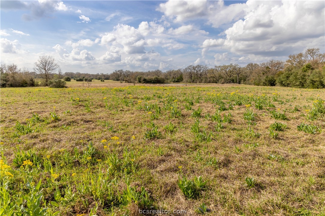 10102 Ferrill Creek Road Bryan, TX 77808 - Photo 17 of 33
