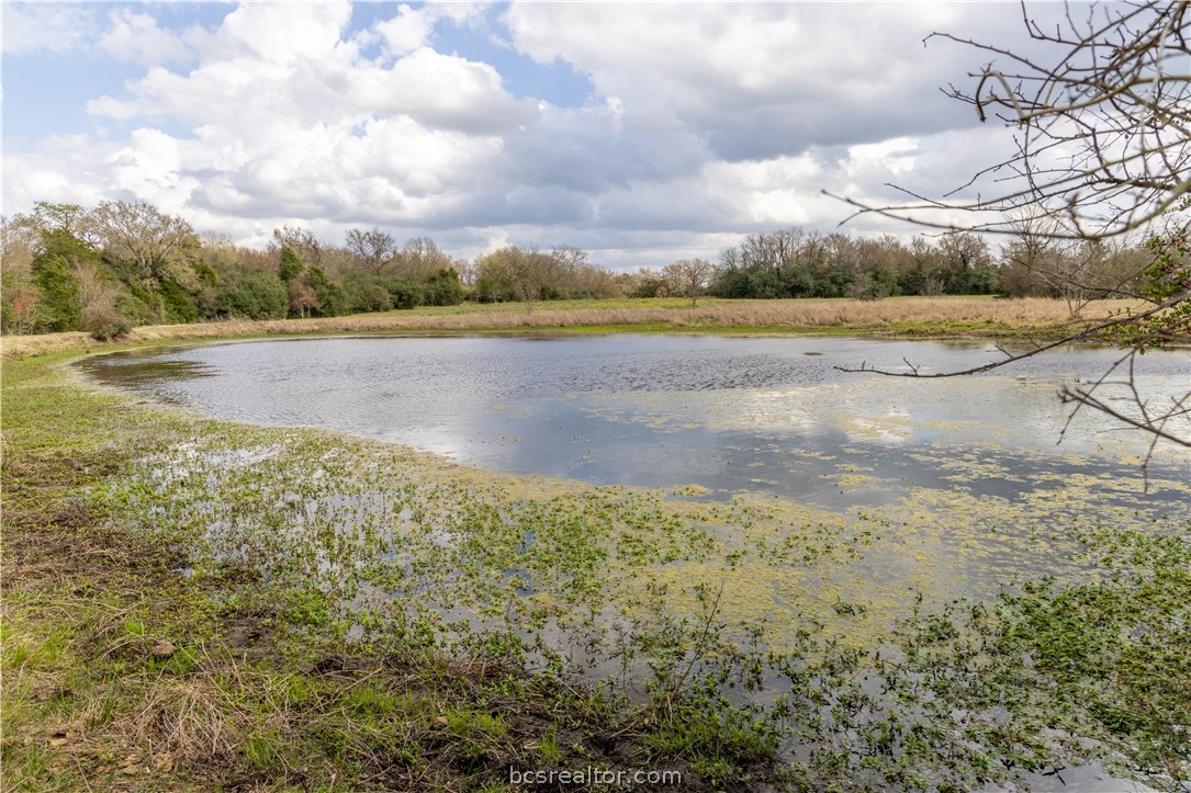 10102 Ferrill Creek Road Bryan, TX 77808 - Photo 20 of 33