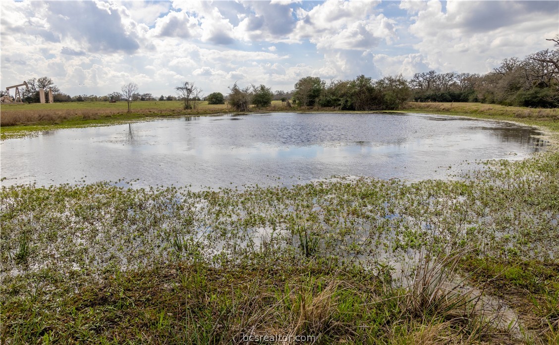 10102 Ferrill Creek Road Bryan, TX 77808 - Photo 21 of 33