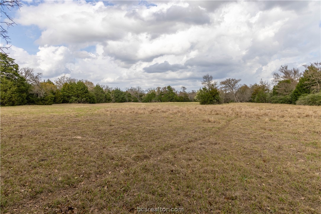 10102 Ferrill Creek Road Bryan, TX 77808 - Photo 22 of 33