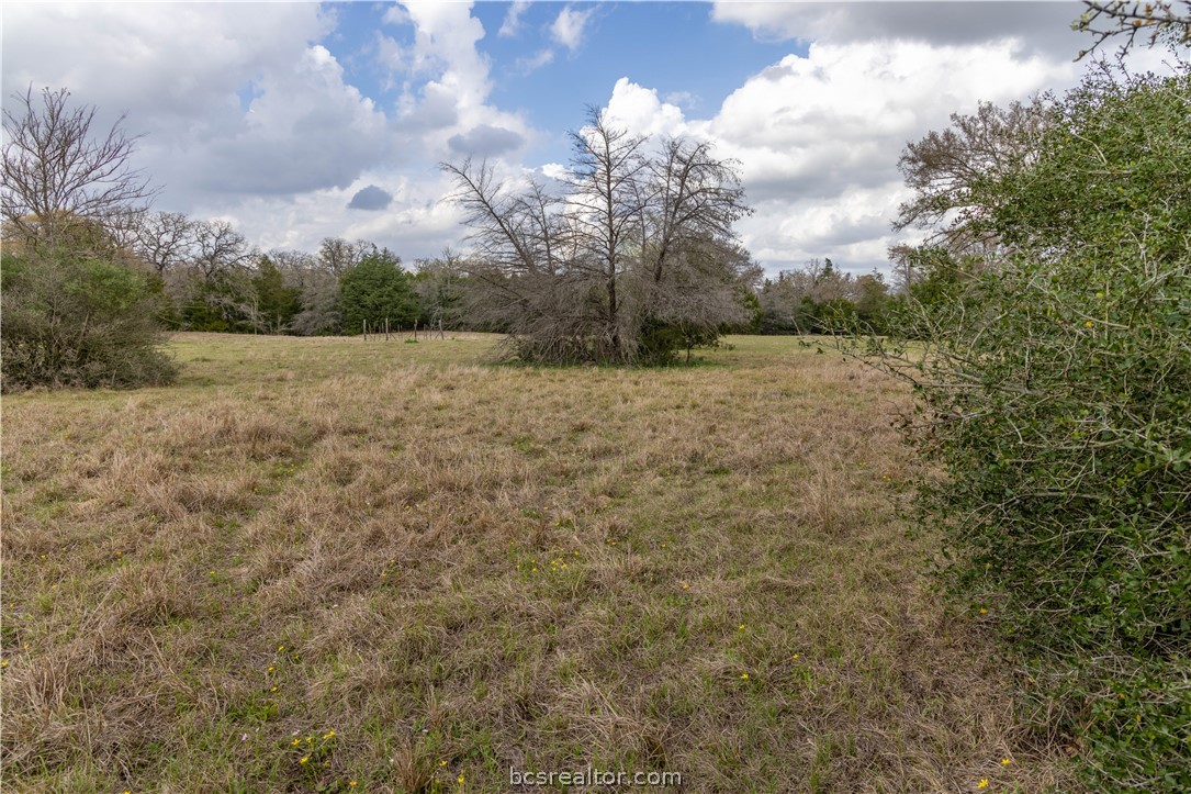10102 Ferrill Creek Road Bryan, TX 77808 - Photo 25 of 33
