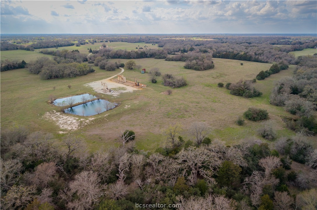 10102 Ferrill Creek Road Bryan, TX 77808 - Photo 26 of 33