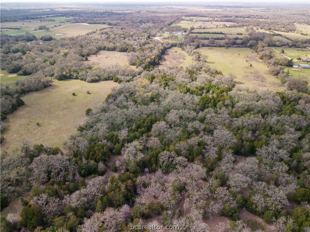 10102 Ferrill Creek Road Bryan, TX 77808 - Photo 27 of 33